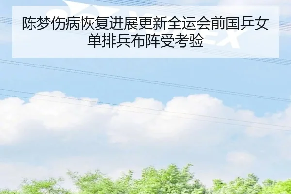 陈梦伤病恢复进展更新全运会前国乒女单排兵布阵受考验 | YOUBO